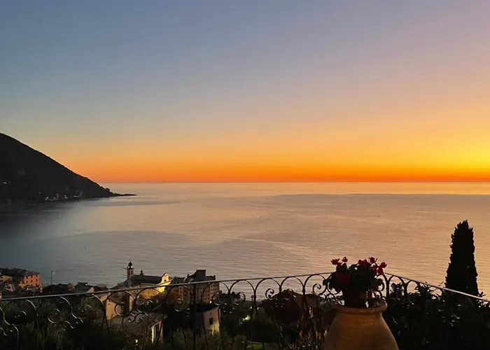 Mortola Camogli